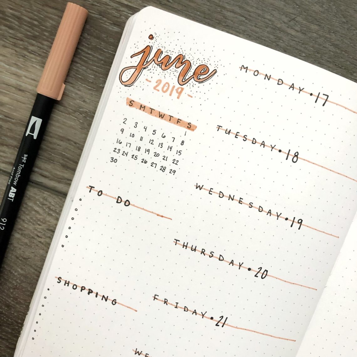 How to Take & Edit Pictures of Your Bullet Journal - Rae's Daily Page