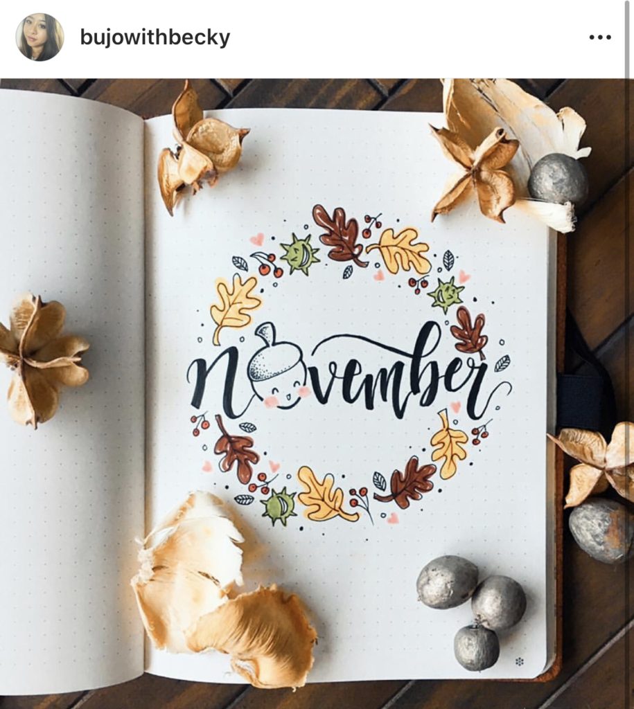 November Bullet Journal Inspiration - Rae's Daily Page