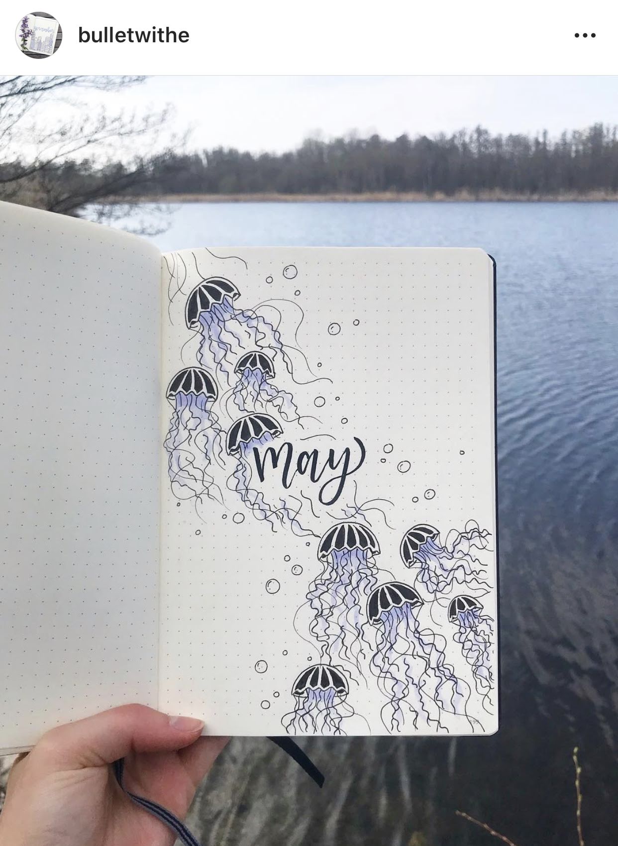 May Bullet Journal Inspiration - Rae's Daily Page