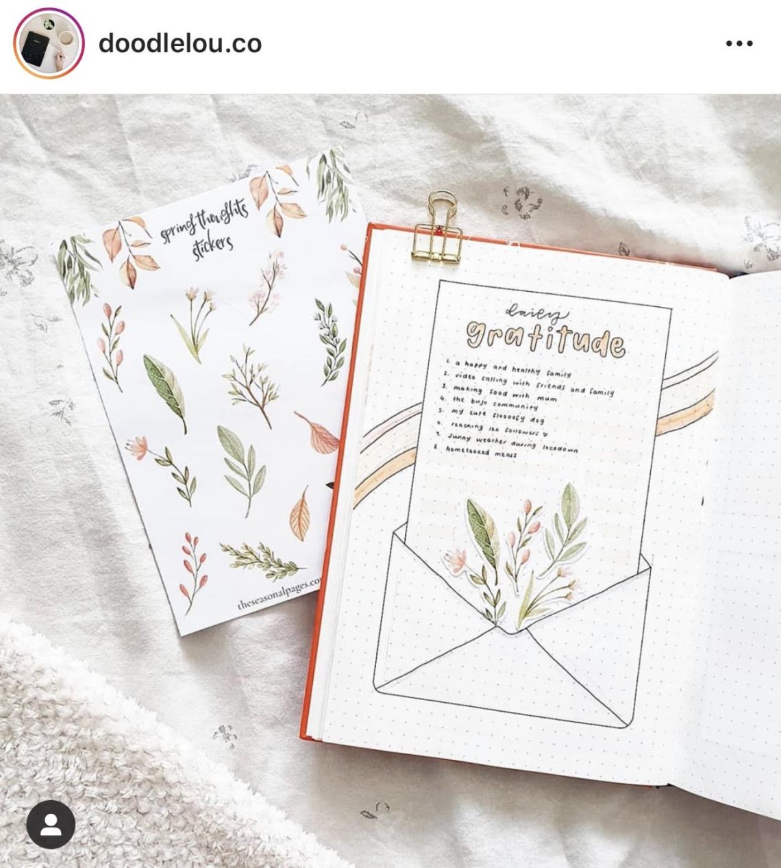 Bullet Journal Collection Ideas - Rae's Daily Page
