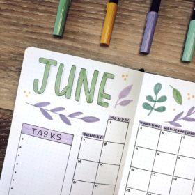 June Bullet Journal | Simple Floral Bullet Journal Theme - Rae's Daily Page