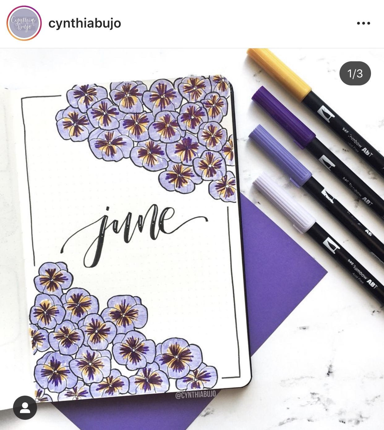 June Bullet Journal Inspiration - Rae's Daily Page