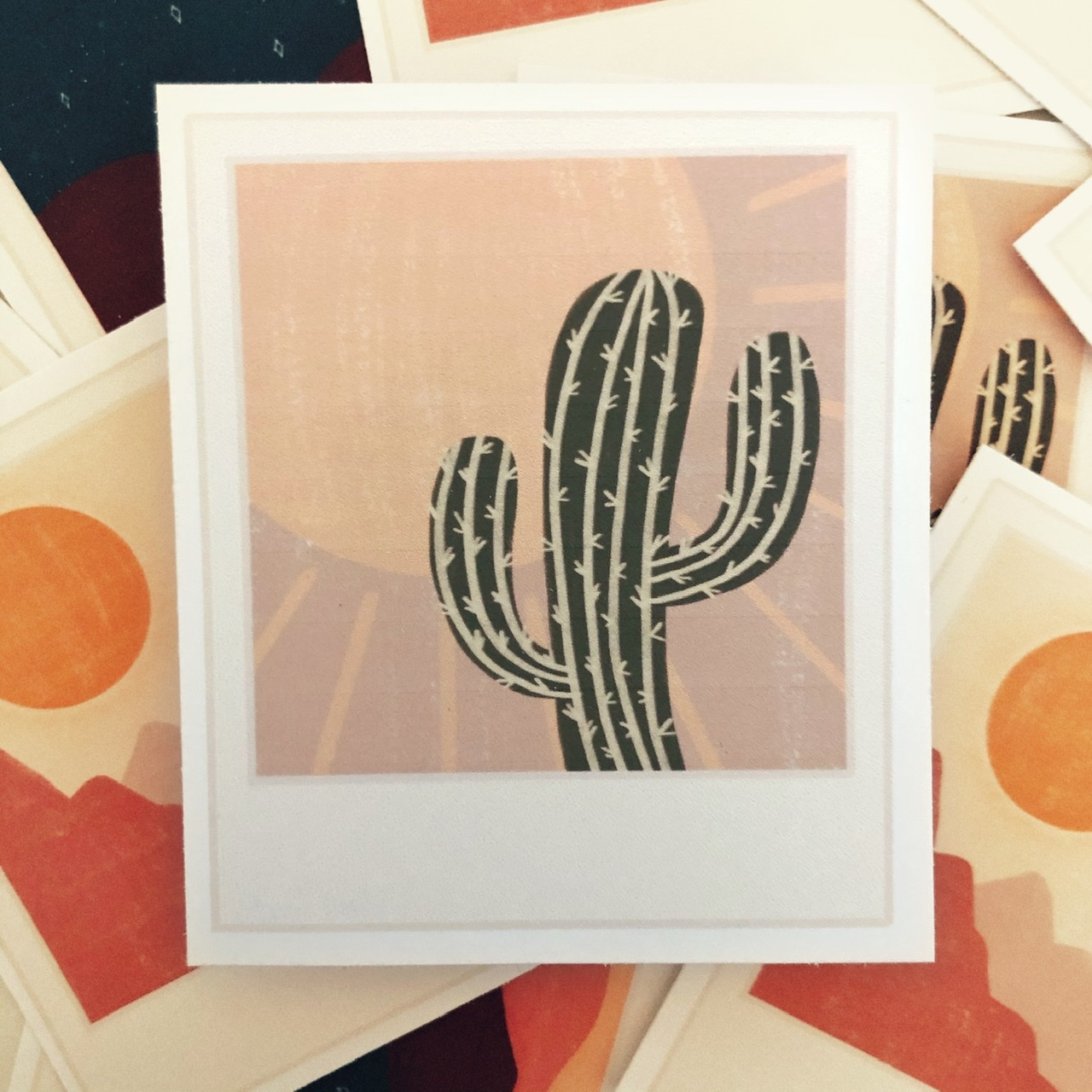 Desert Cactus Polaroid Sticker - Rae's Daily Page